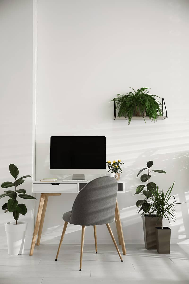 Office 12