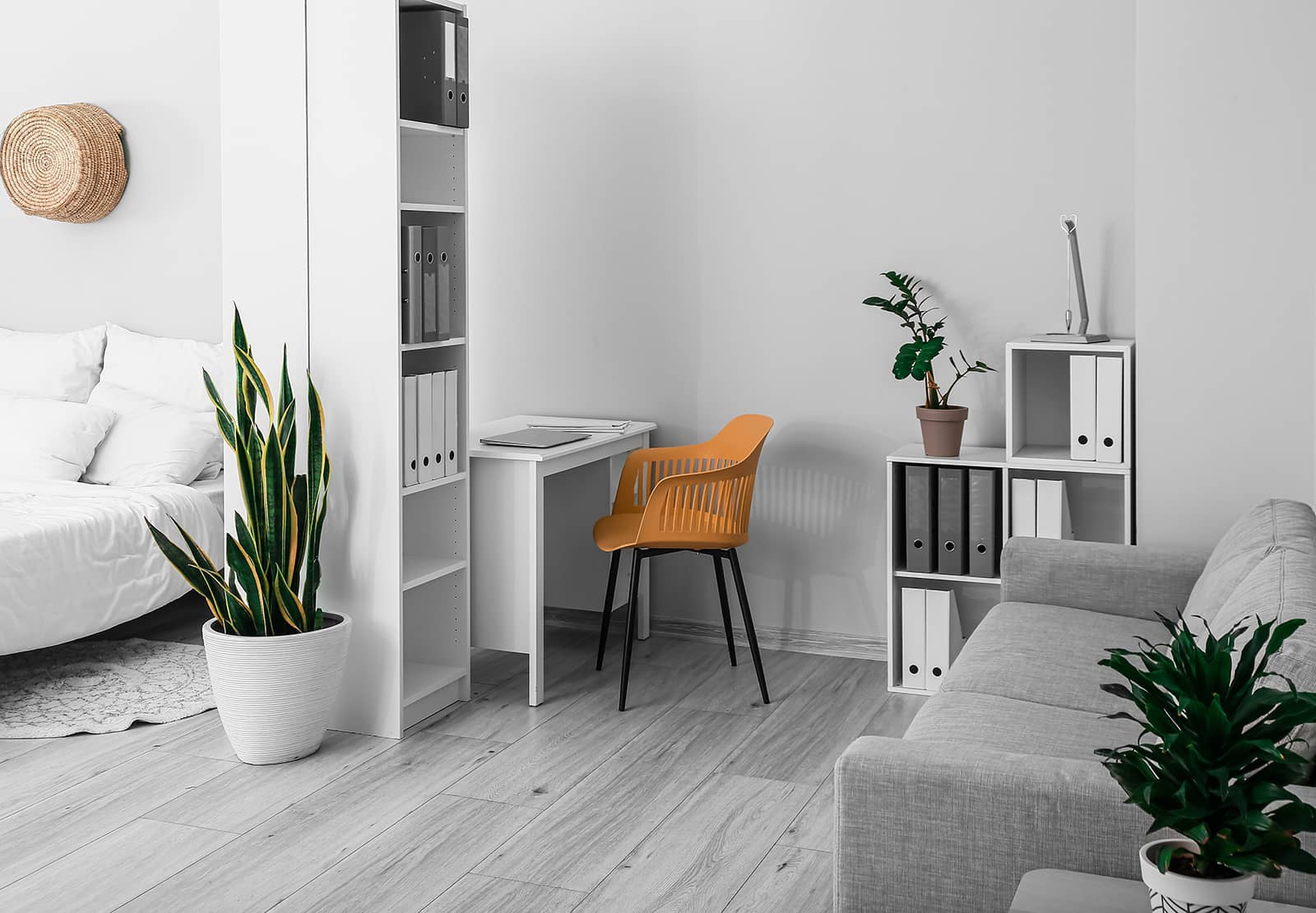 Office 4